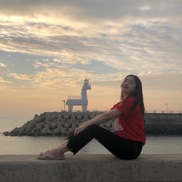  제주 당일치기 구해줘 홈즈