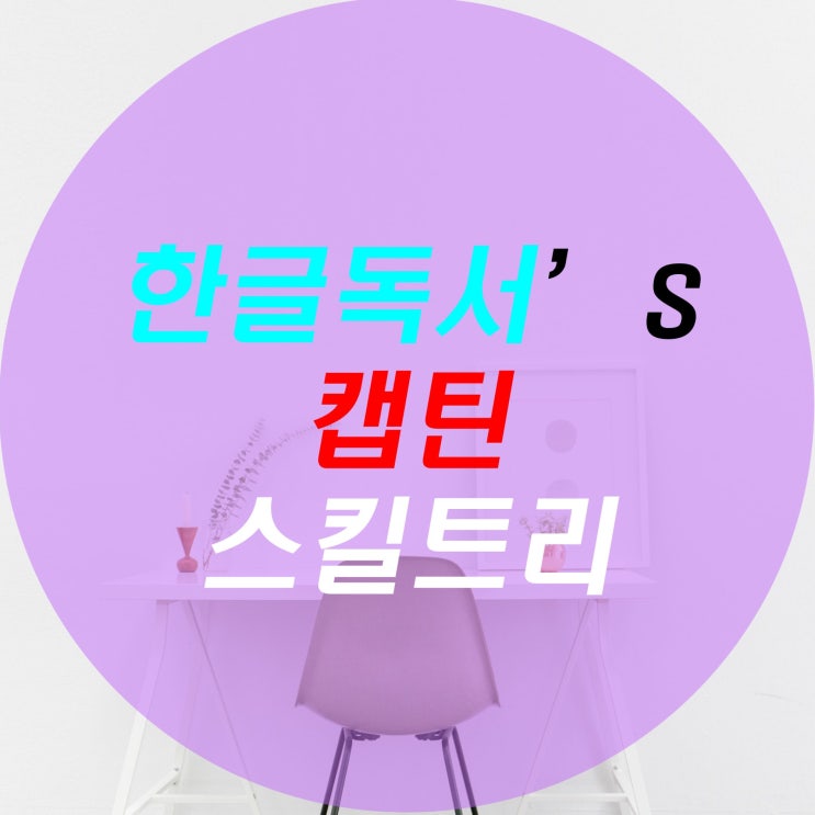  [한글독서]메이플스토리 캡틴 스킬트리/하이퍼스킬트리/최신