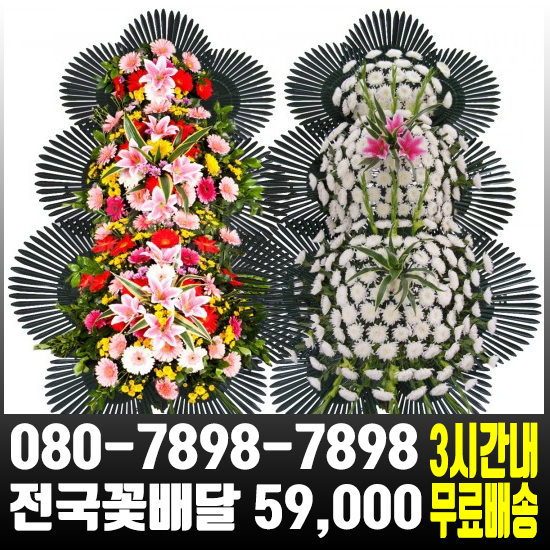  풍기성심요양병원장례식장꽃배달 59,000원 전국무료배송