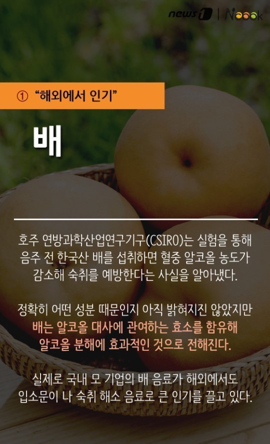 숙취 예방' 음주 전 먹으면 좋은 음식