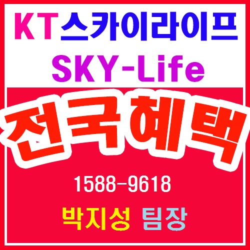  kt올레와 위성방송이 하나된 울산스카이라이프로 해외축구 봐요~