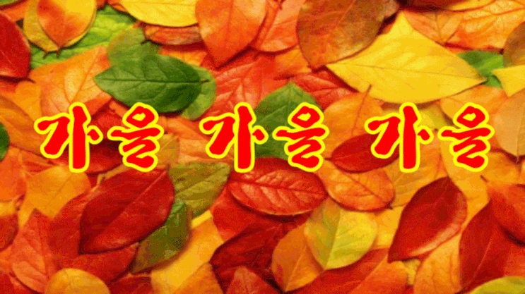  가을 가을 가을