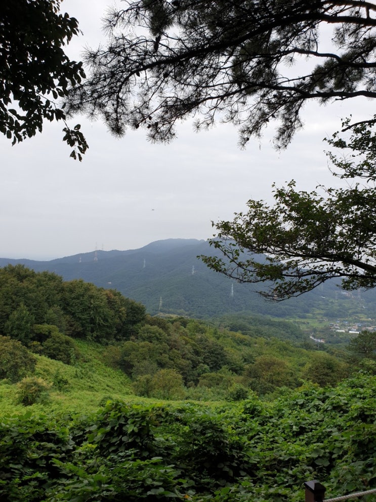  김제 가볼만한 곳, 모악산 마실길(예향천리길, 닭지붕~백운동 뽕밭~비장골~연리지~원점) 트레킹