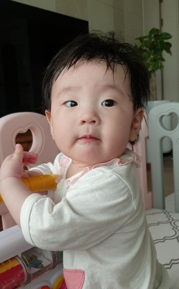  [184일~199일]그동안 맛본것들