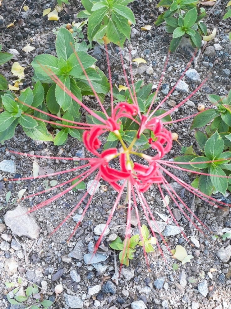  변산반도 여행