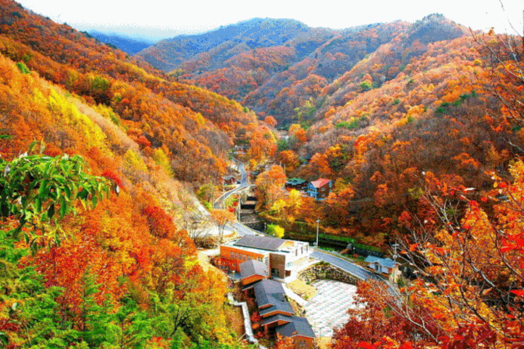  가을 향기 기다리는 마음