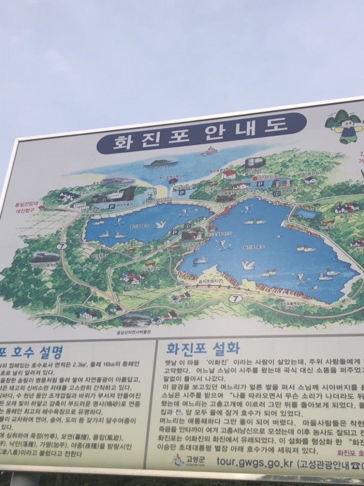[고성여행]화진포해수욕장,김일성별장, 이기붕별장,이승만별장,생태박물관
