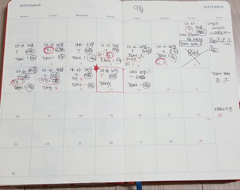 마일리사이러스 다리운동 한달 후기(60회)