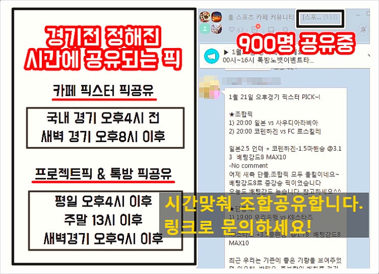  프랑스 호주 15일 농구월드컵 추천조합 확인