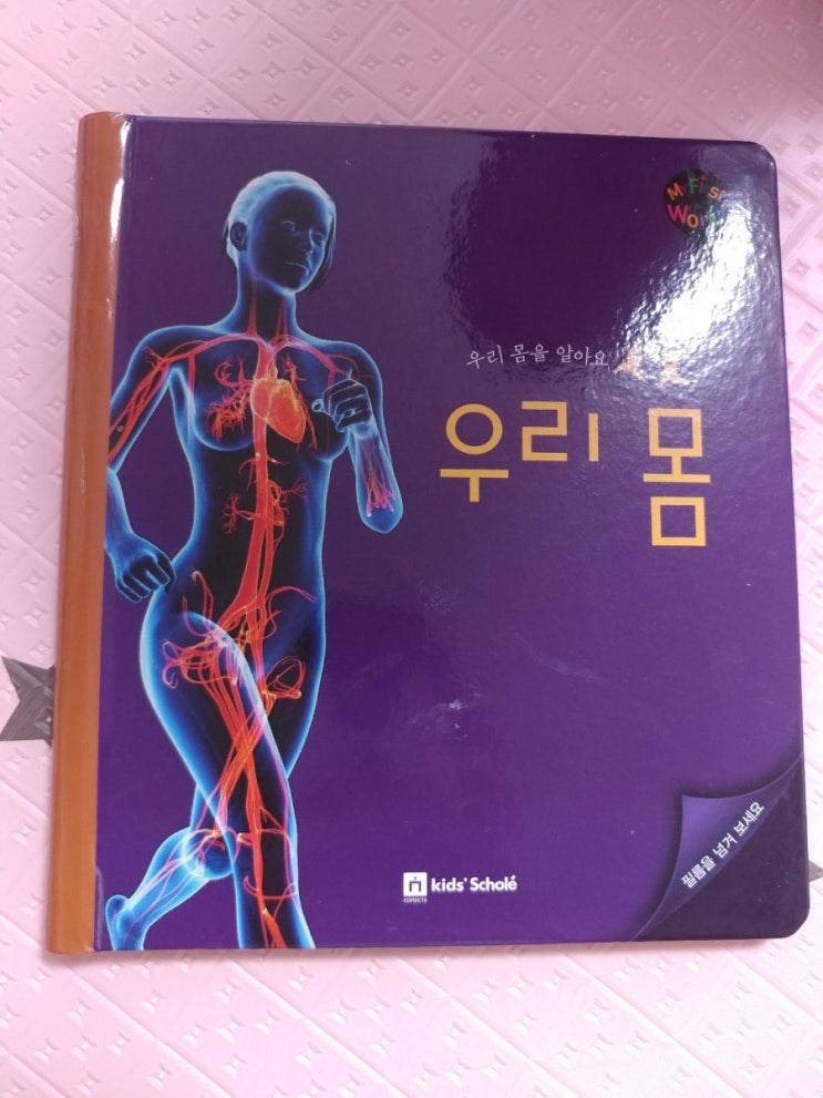  [키즈스콜레 100일독서]5.그물독서활동: 마이퍼스트월드_우리몸