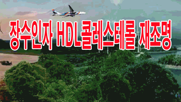  백세 장수인자 HDL콜레스테롤 재조명