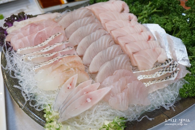  여수 송백, 여수 선어회 맛집, 여수 횟집