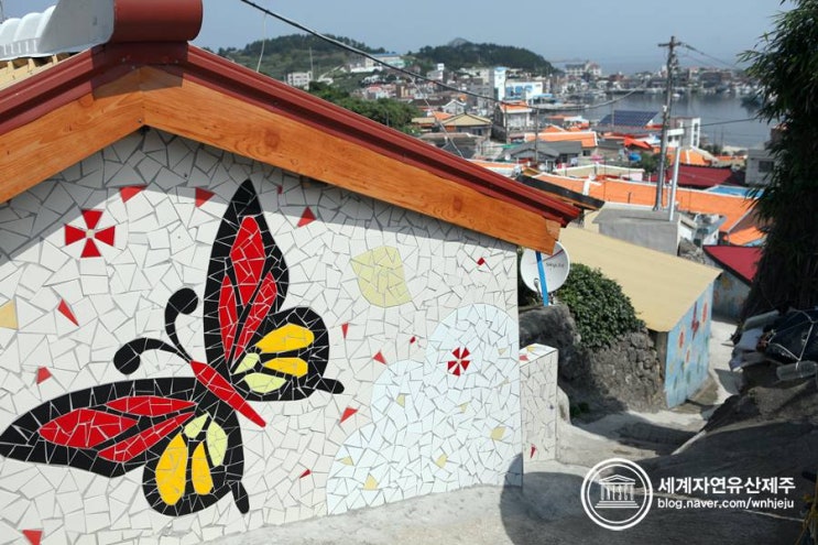  추자도의 트레킹명소 나바론하늘길을 품고 있는 마을 영흥리