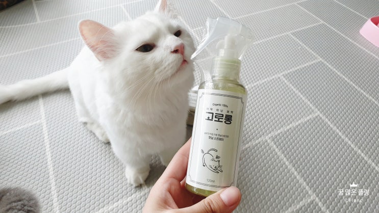 고양이 용품 고로롱 캣닢스프레이 & 모래탈취 파우더 리뷰