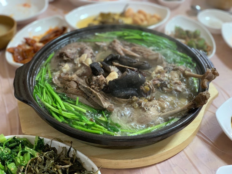  포항북구 맛집 포항북구 백숙 등산식당 송이백숙 대박이네