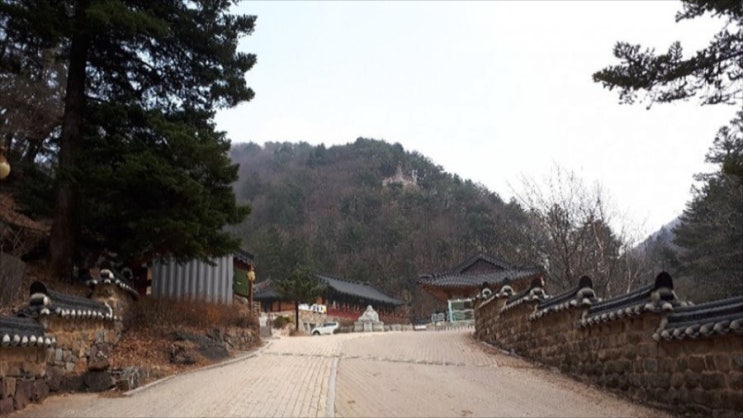  [3년 전 오늘] 태백 함백산의 보물