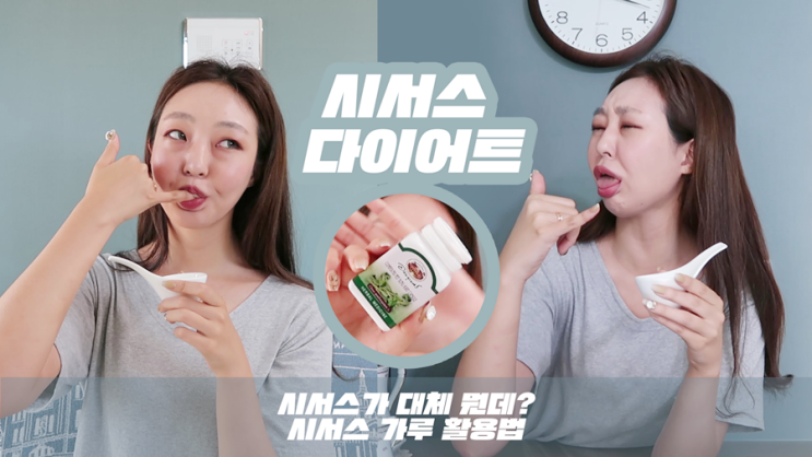  시서스 다이어트 그게 대체 뭔데? 솔직 후기 + 시서스가루 활용팁