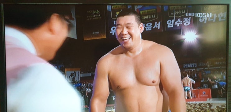 <2019추석장사씨름대회> 백두장사~손명호 장사(의성군청) 영암실내체육관 #가인강산의세상만사