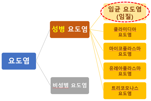 [울산 임질 치료] 남자 임질 증상과 치료 : 네이버 블로그