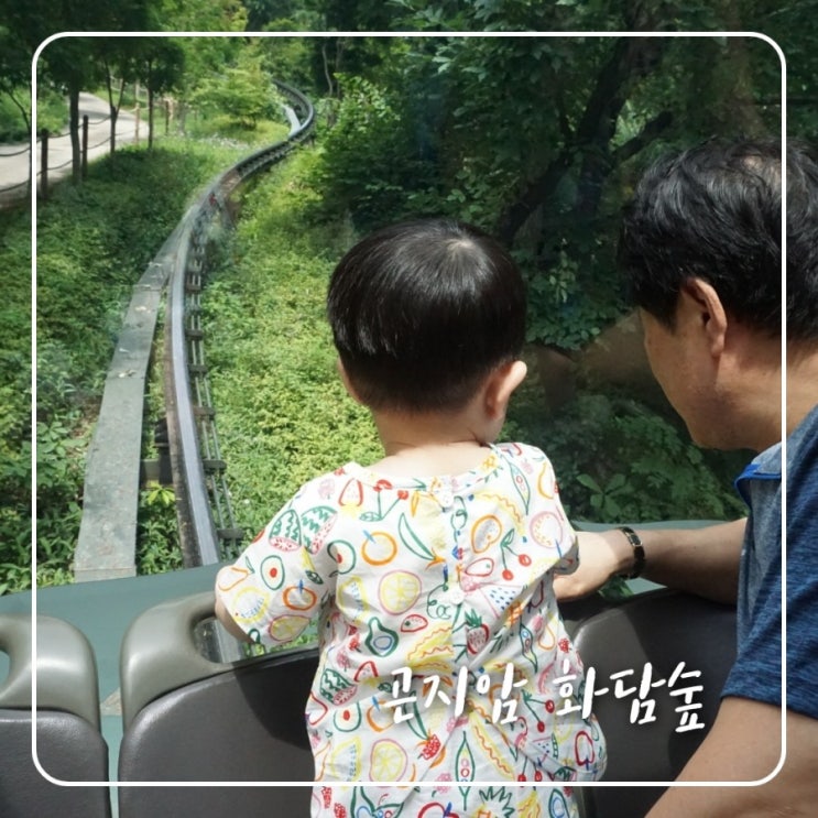  곤지암 화담숲 입장료 모노레일 가격