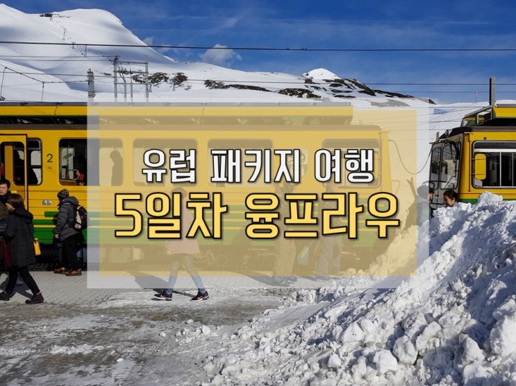  [스위스 융프라우] 유럽 패키지 여행 : 인터라켄에서 융프라우까지