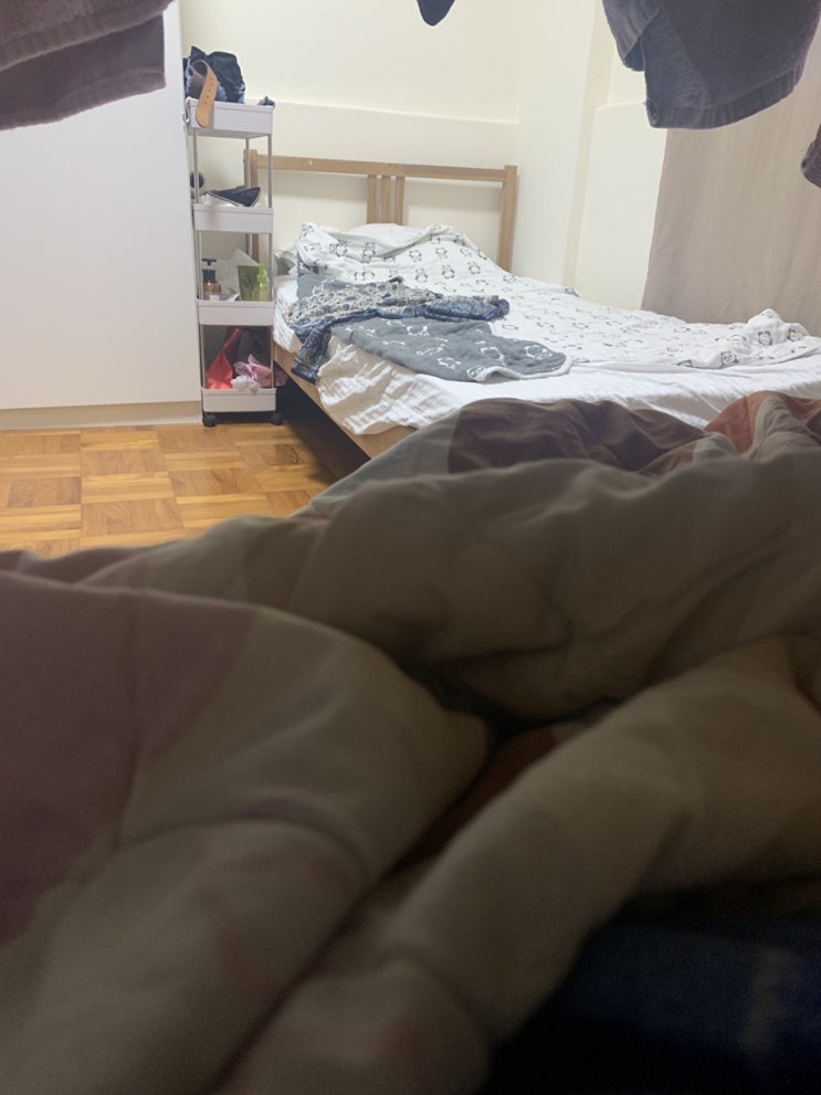  싱가포르 45일차