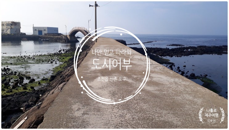  제주 조천읍 신촌 포구,갯바위 해안 누리길 50코스 낚시 포인트와 가능한 낚시 장르 모음