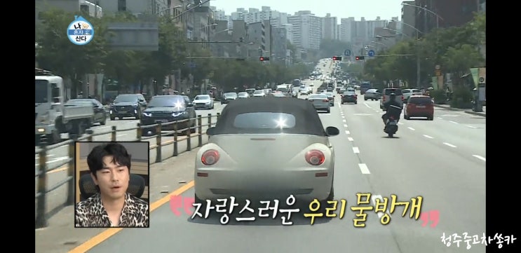  [청주중고차딜러쏭카]나혼자산다309회 이시언 중고차 폭스바겐 뉴비틀 중고차
