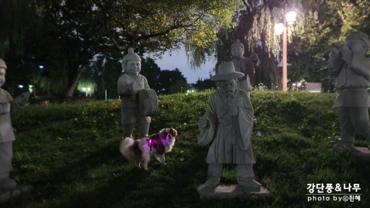 천안삼거리공원 강아지랑 산책하기 좋은곳