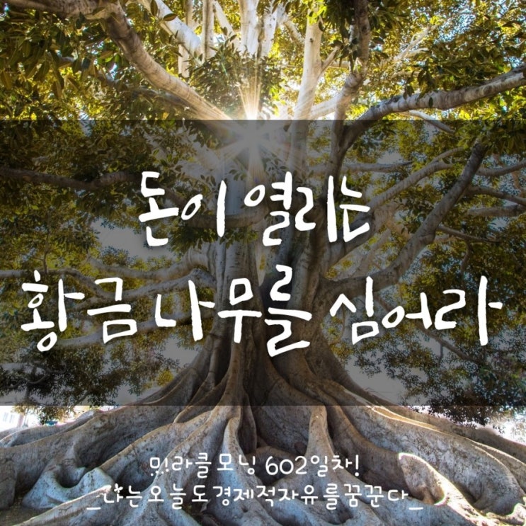  돈이 열리는 황금 나무를 심어라