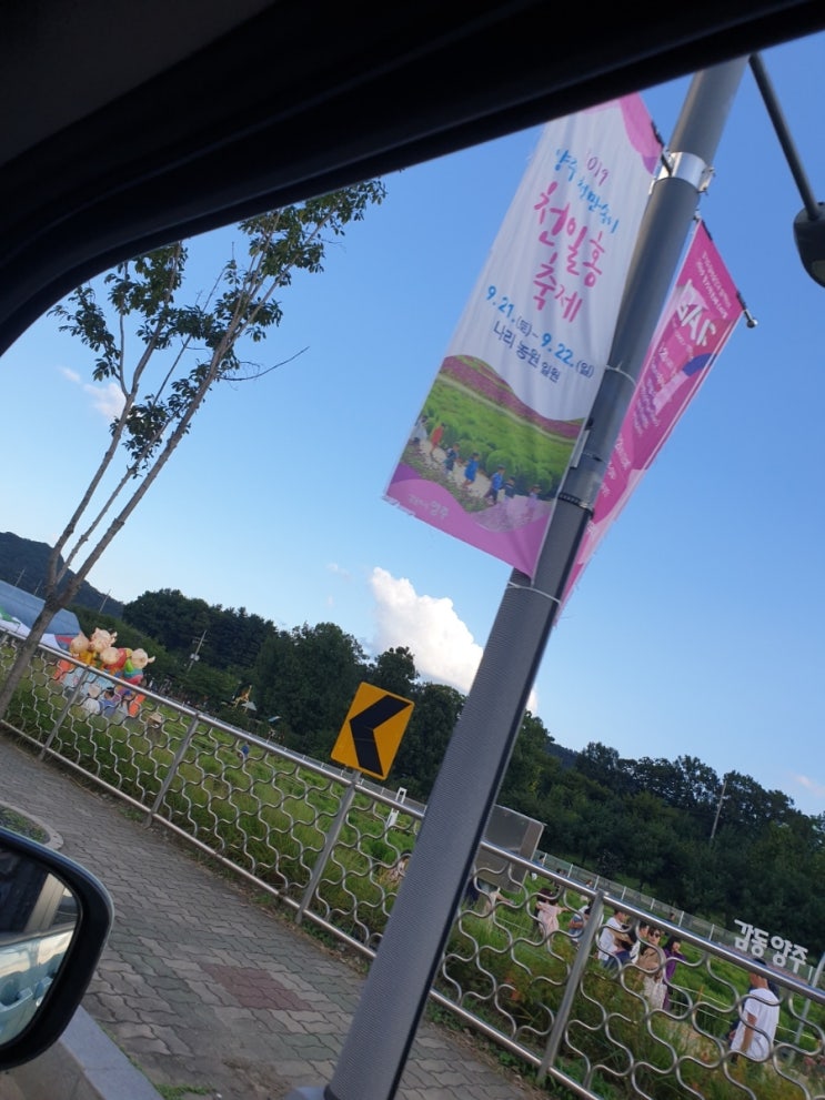  아가솝.양주 나리공원.천만송이축제