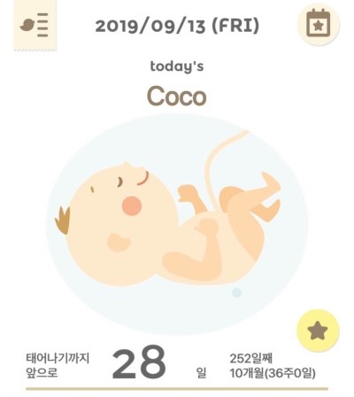  미국임신/ 임신 36주차, 독감주사