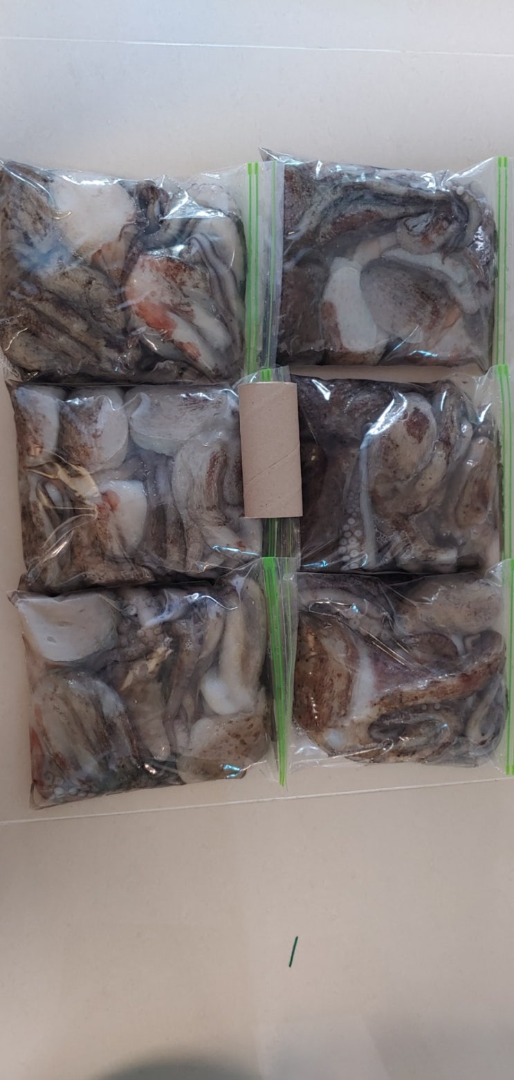  남해군 적조속 돌문어 워킹 해루질