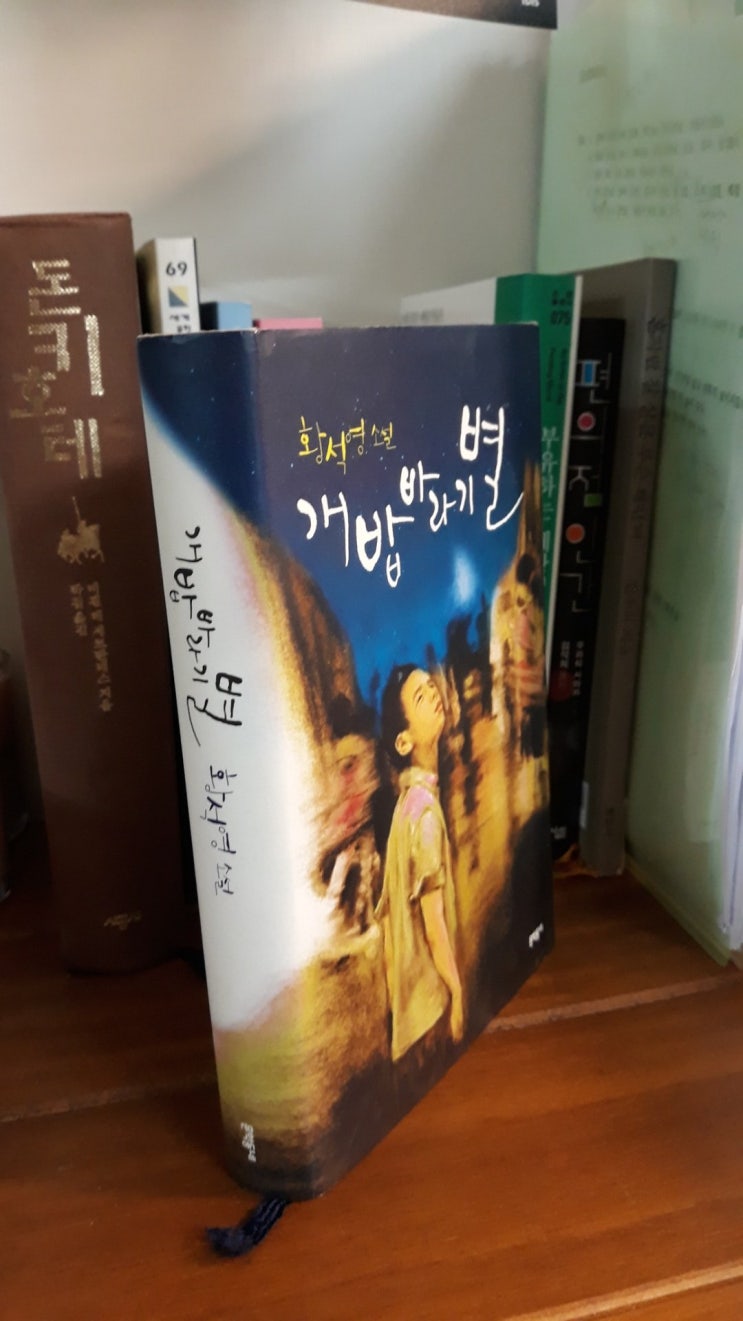  개밥바라기 별 -황석영(2008, 대한민국)
