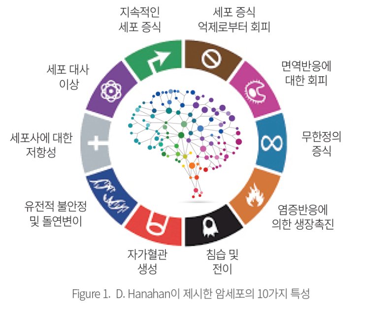  암과의 전쟁– 항암치료의 발전과 한계 (1)