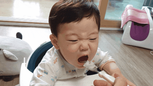 일상로그 태백편 일상로그 태백편