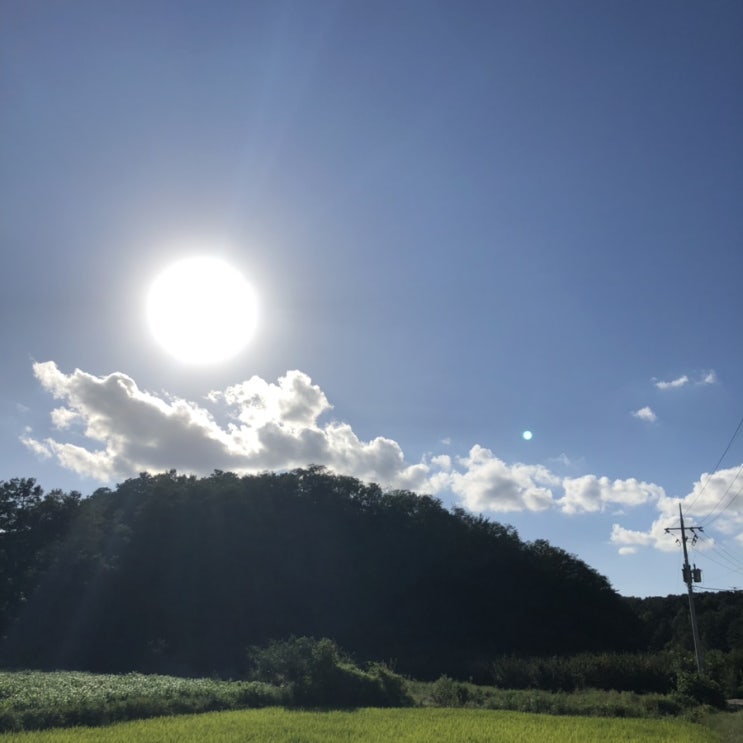  방백