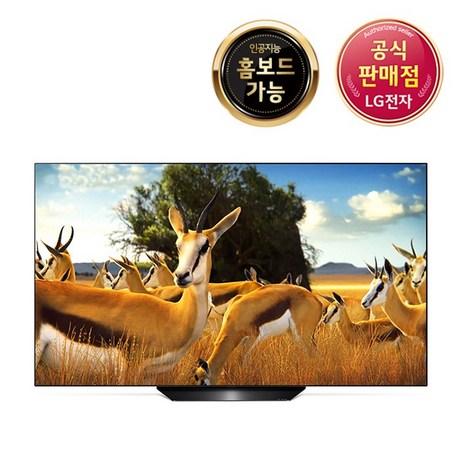 LG 올레드 TV OLED55B9CNA 스탠드형