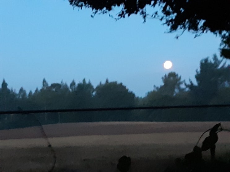  Santiago(D28) 이십팔일째 (14/9/ 2019)