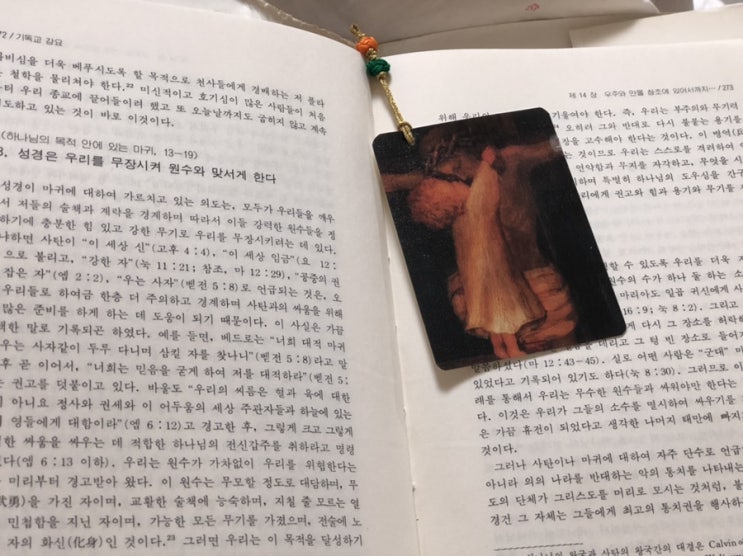  가족및 사람간의 갈등과 신앙인의 자세(참고:기독교강요)/실화 공포영화