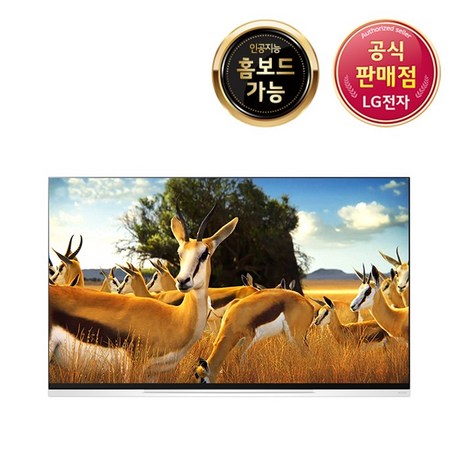  LG 올레드 TV OLED55E9KNA 벽걸이형