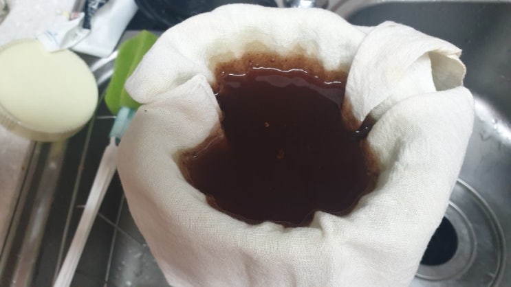  우리집 건강발효액 소개합니다, 파발효액, 포도발효액, 곰보배추발효액 그리고 양파생강조청까지