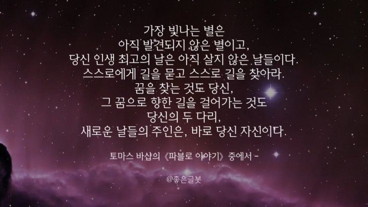  파블로 이야기