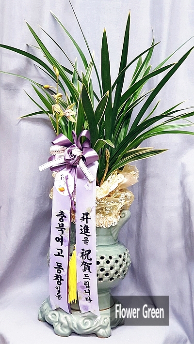  광산우편집중국 승진 축하난/고급동양란 황금채홍/  동ㆍ서양란배달/수원영통꽃집 영통꽃배달 [플라워그린]