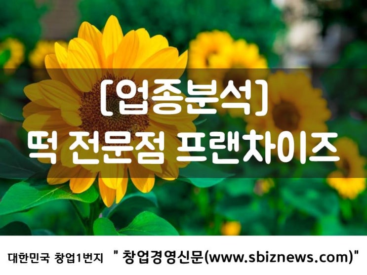  떡전문점 창업아이템으로?