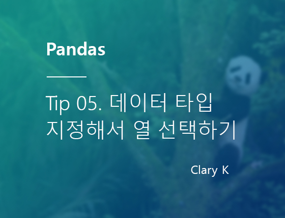 [파이썬] 판다스(pandas) 팁5. 데이터 타입으로 컬럼 선택하기