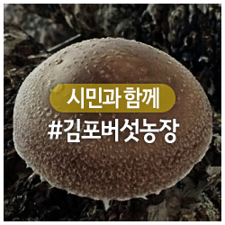 김포 햇살가득 버섯농장에서 버섯 피클 만들기 체험