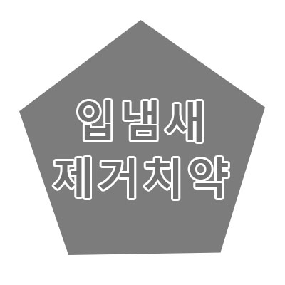  입냄새제거치약 다이소 올리브영 왕타칫솔 다 사용해봤지만...