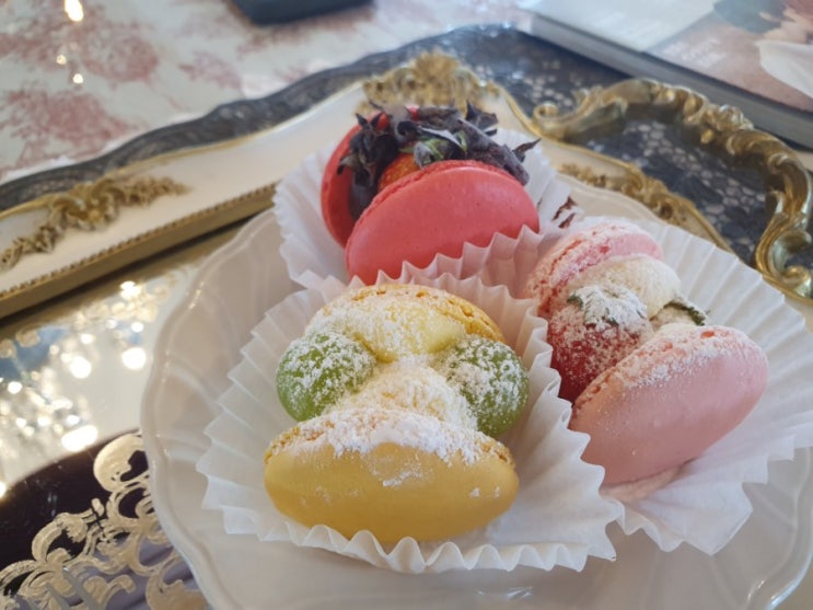  원주 마카롱 맛집 혜리추천 [언니네 오븐]