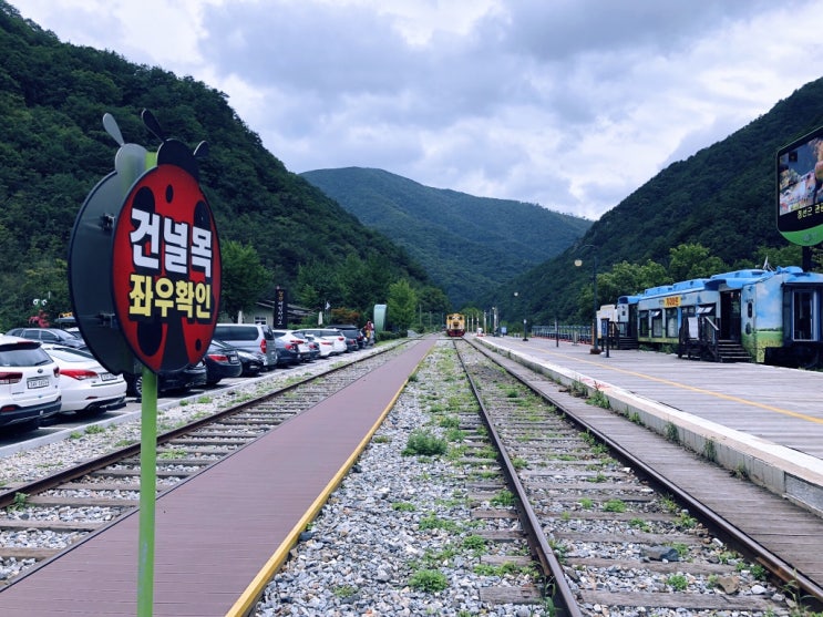  강원도 정선 레일바이크 :: 처음 타본 레일바이크